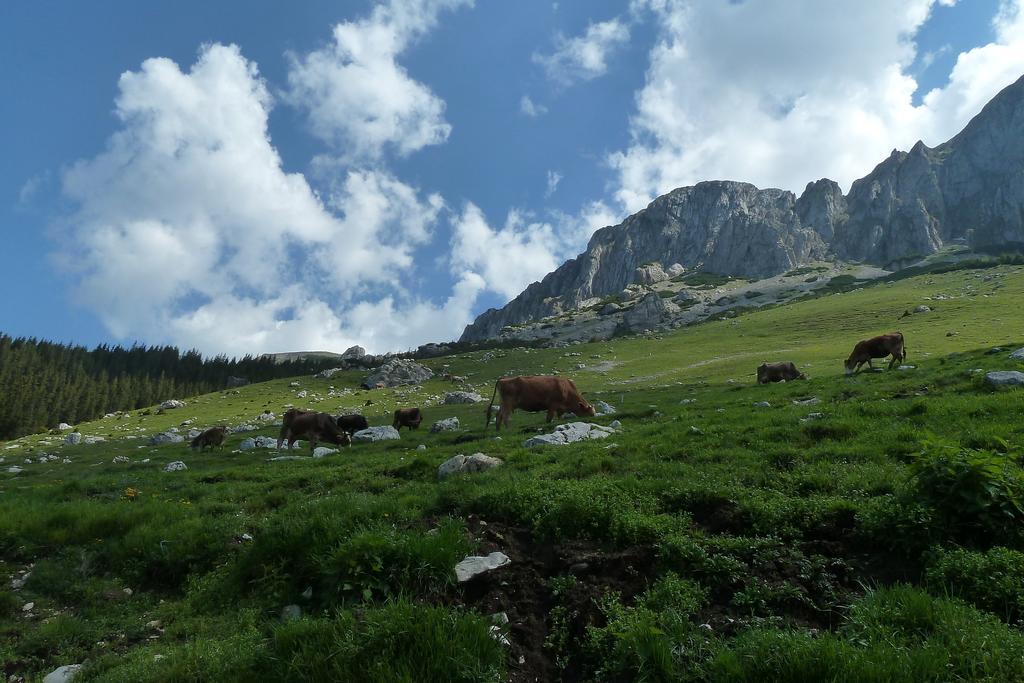 Ranger Chalet موياشيو دي سوس الغرفة الصورة